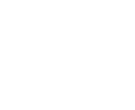 Chestnut Village Logo White